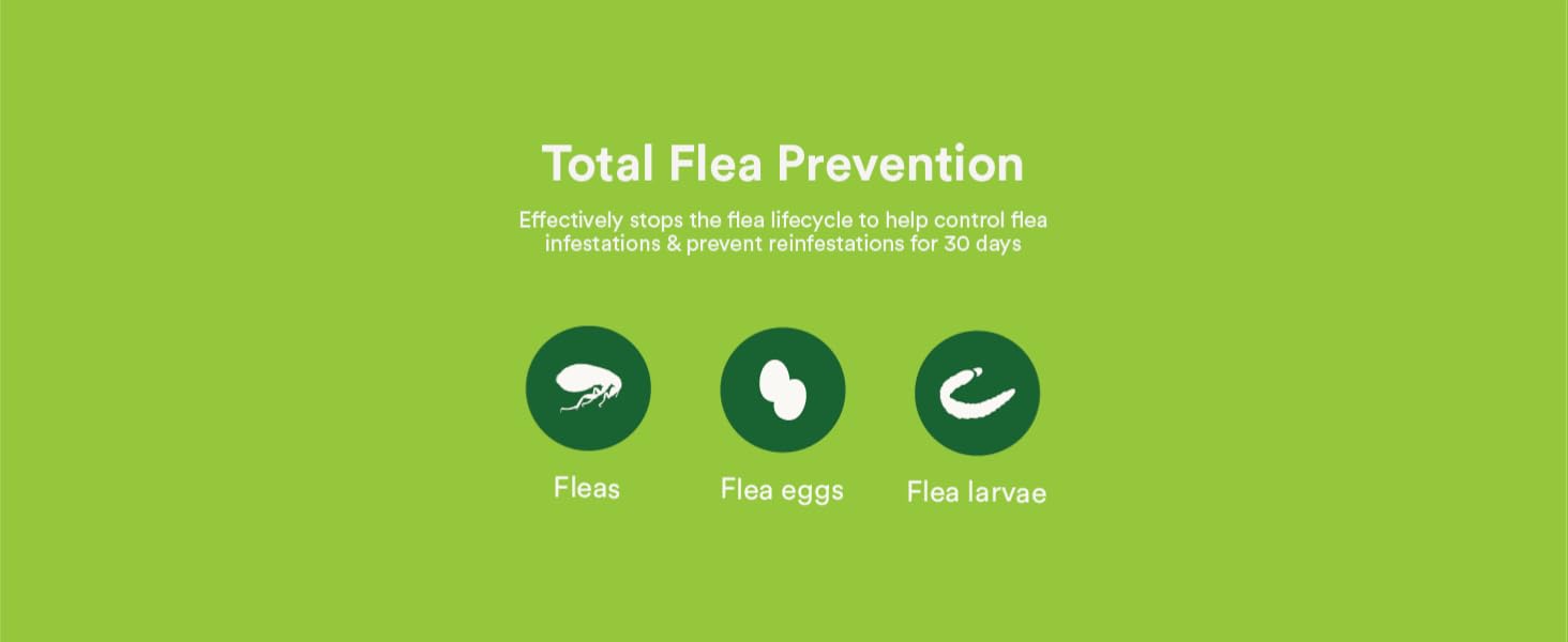 Total Flea Prevention fleas flea eggs flea larvae