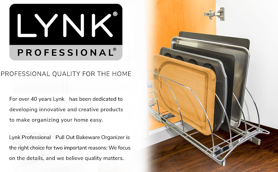 LYNK PROFESSIONAL