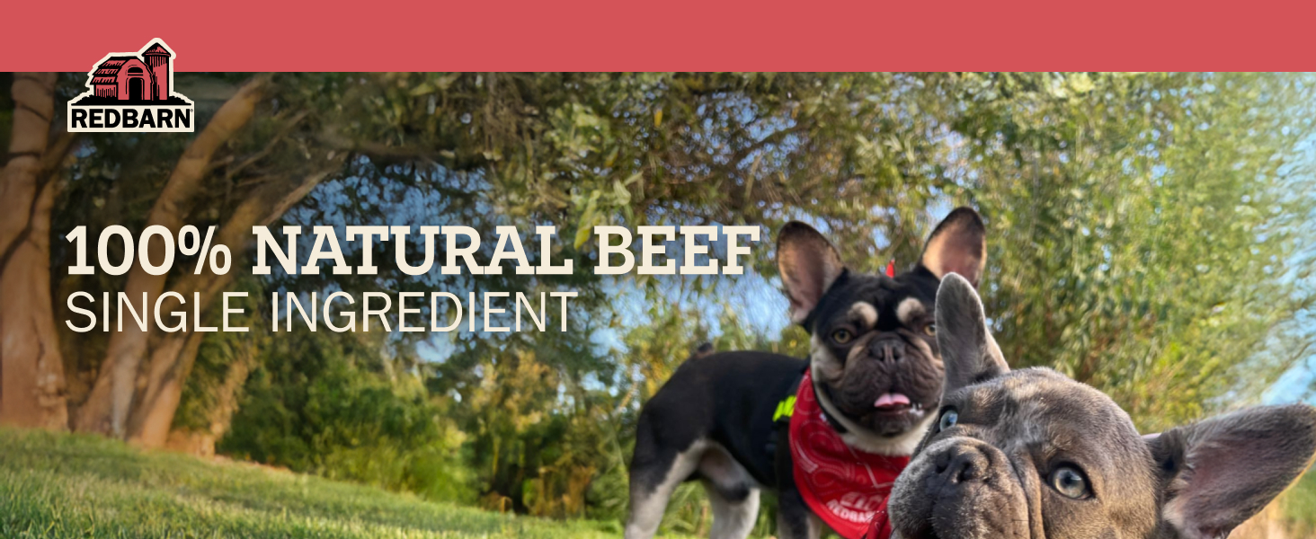 100% all natural beef chew single ingredient for puppies and dogs
