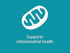 microcrystalline, cellulose, burger, pills, tablets, chlorophyl, clorofila, para, desintoxicar,