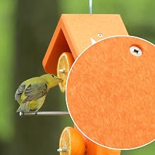 Juvenile scarlet tanager eating orange on oriole feeder with plastic detail