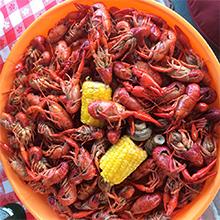 Zatarain's Zaturday