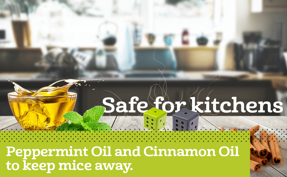 Peppermint and Cinnamon Oil to keep mice away using essential oils