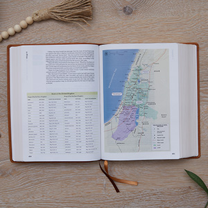 bible, key word study bible, csb bible, csb bible for women, csb bible leather, csb bible study