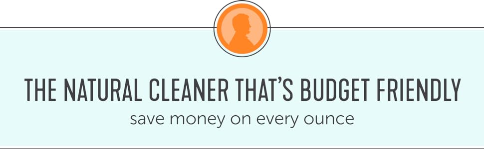Natural Cleaner That's Budget Friendly