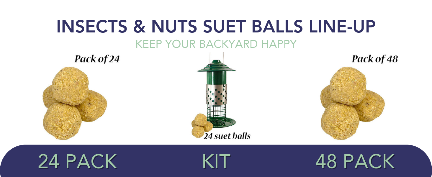Wildlife Sciences Insects &amp;amp;amp;amp;amp;amp;amp; Nuts Suet Balls, 12 Packs of 4