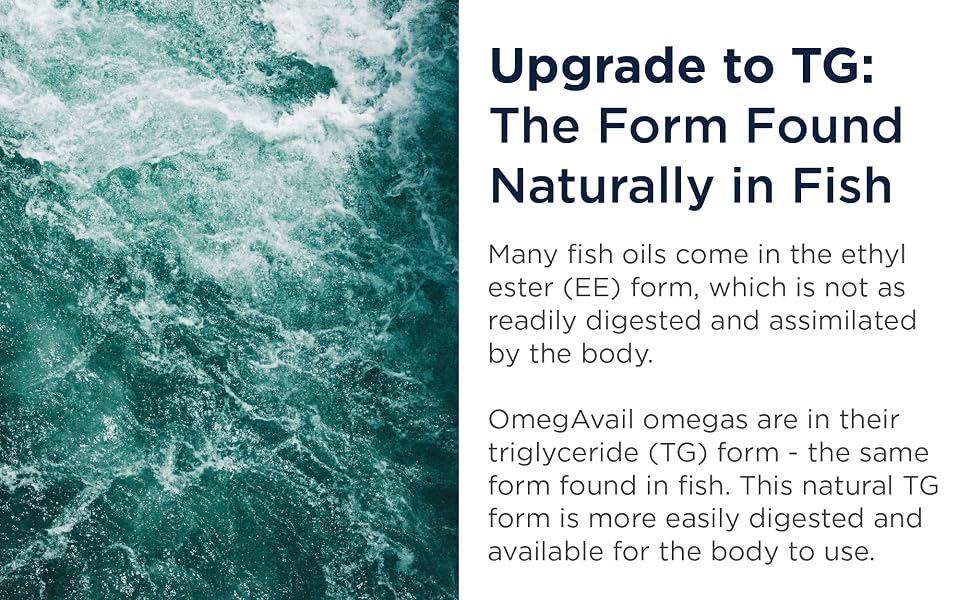 triglyceride fish oil tg fish oil