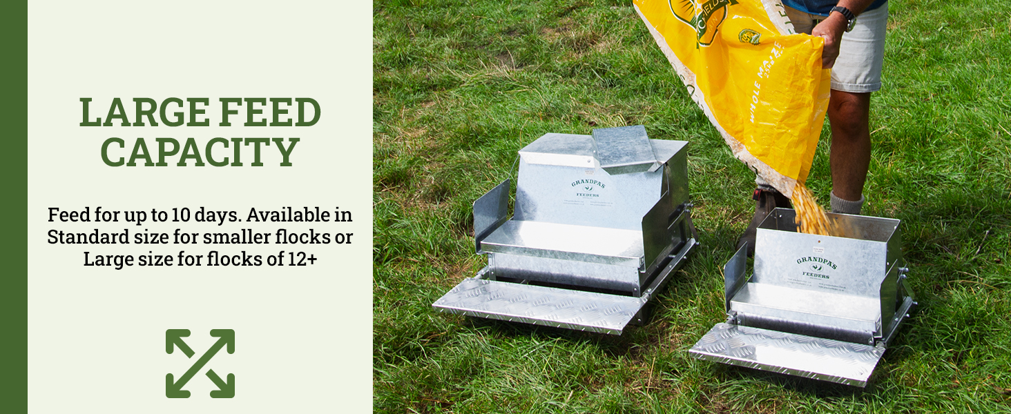 grandpas feeders automatic chicken galvanized steel poultry feeders rat proof no spill weatherproof
