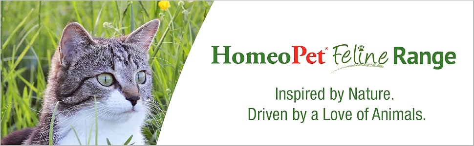The HomeoPet logo beside an adult cat
