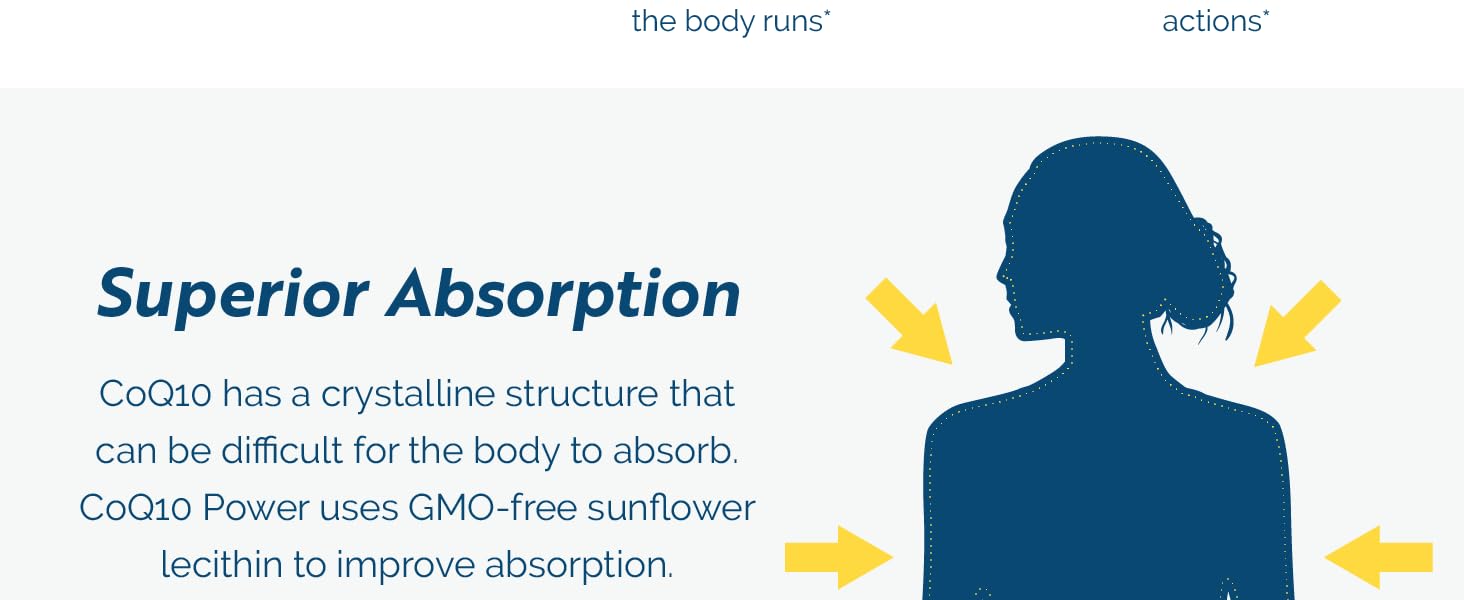 high absorption CoQ10 supplement