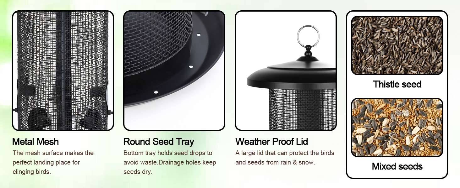 bird feeder