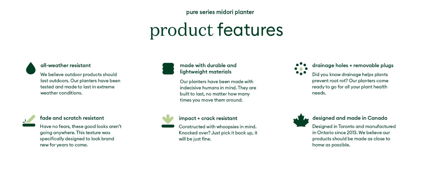 Pure Midori Feature Desktop