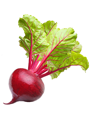 super beets, super beets black cherry, super beets energy plus, human super beets powder