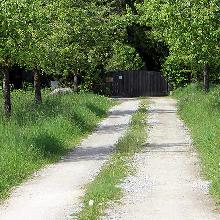 gravel driveway