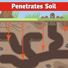 mole repellent penetrate soil