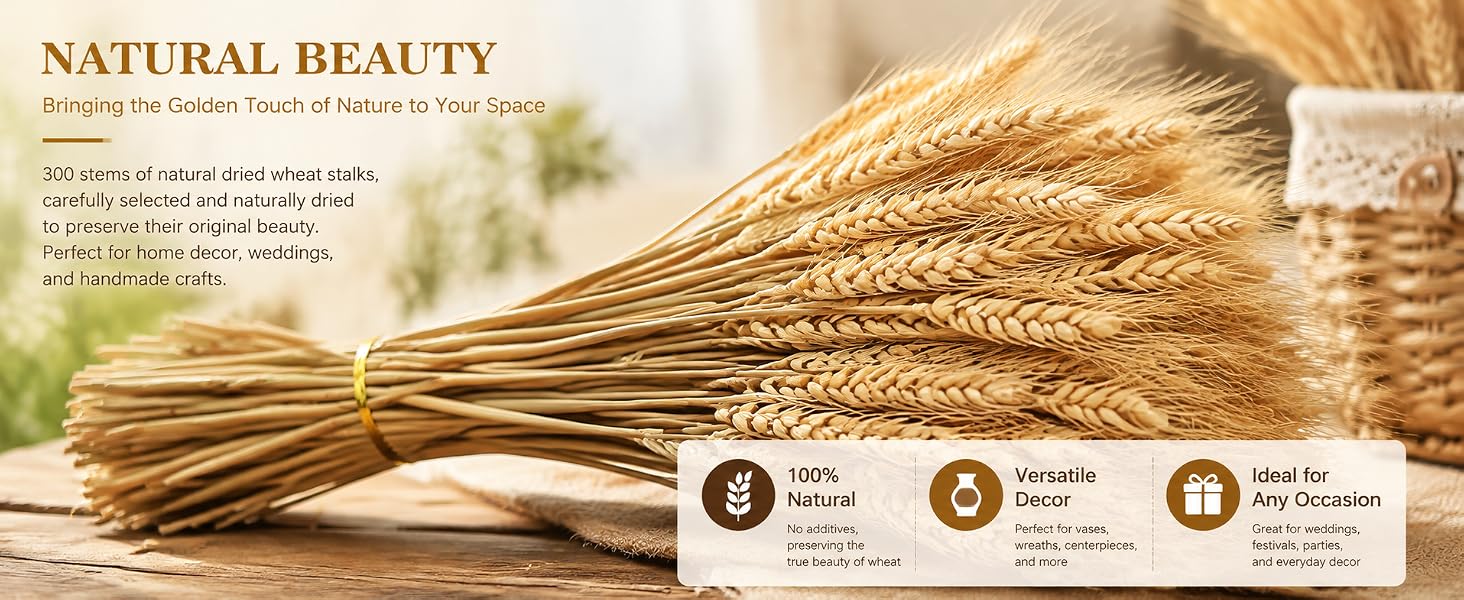 Yarlung 300 Stems Dried Wheat Stalks, 16 Inch Natural Wheat Sheaves Fall Arrangement Home Decor