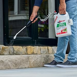Person spraying rodent repellent around stone patio