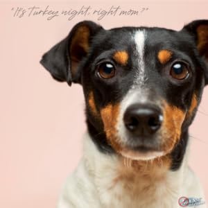 turkey dog food