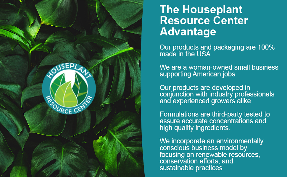 houseplant leaf armor fiddle leaf fig