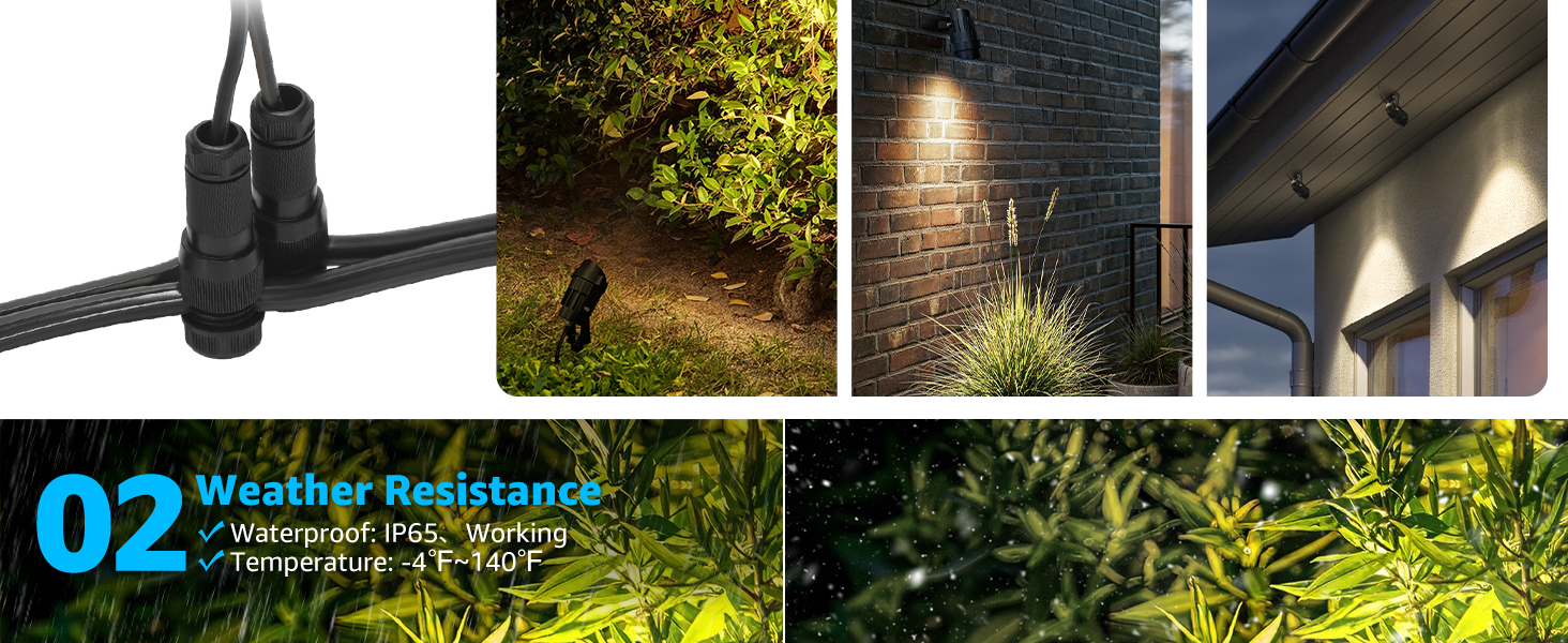 landscape lights