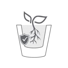 Image of a planter showing double-walled construction