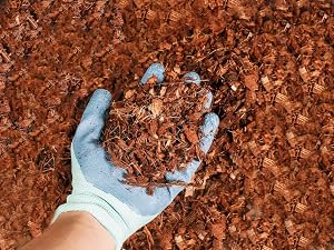 outdoor chips bark planting succulent peat bulk growing brick fertilizer husk food vegetable
