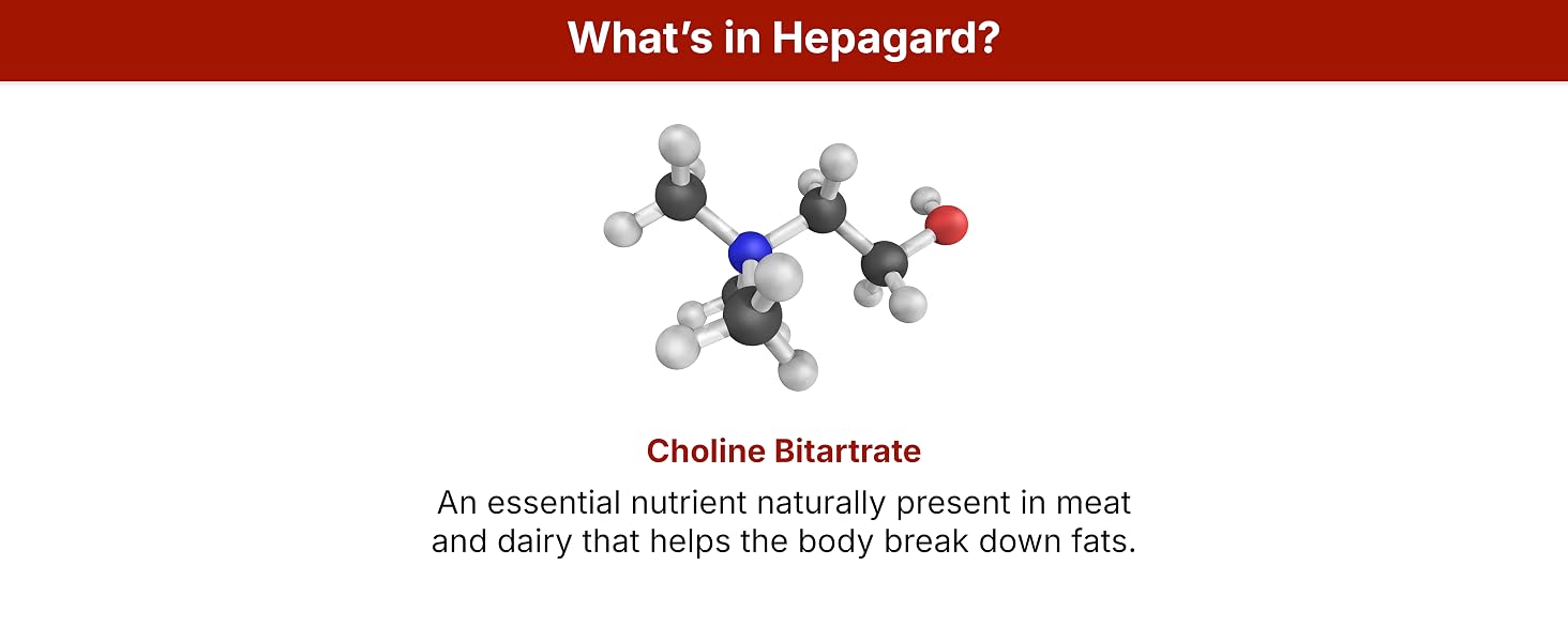 Choline Bitartrate