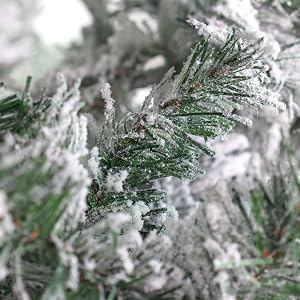 Mountain Pine Christmas Tree Collection