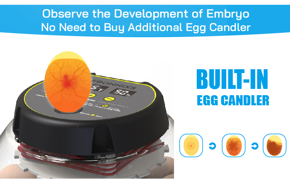 incubator egg candler
