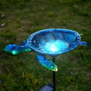 turtle bird bath