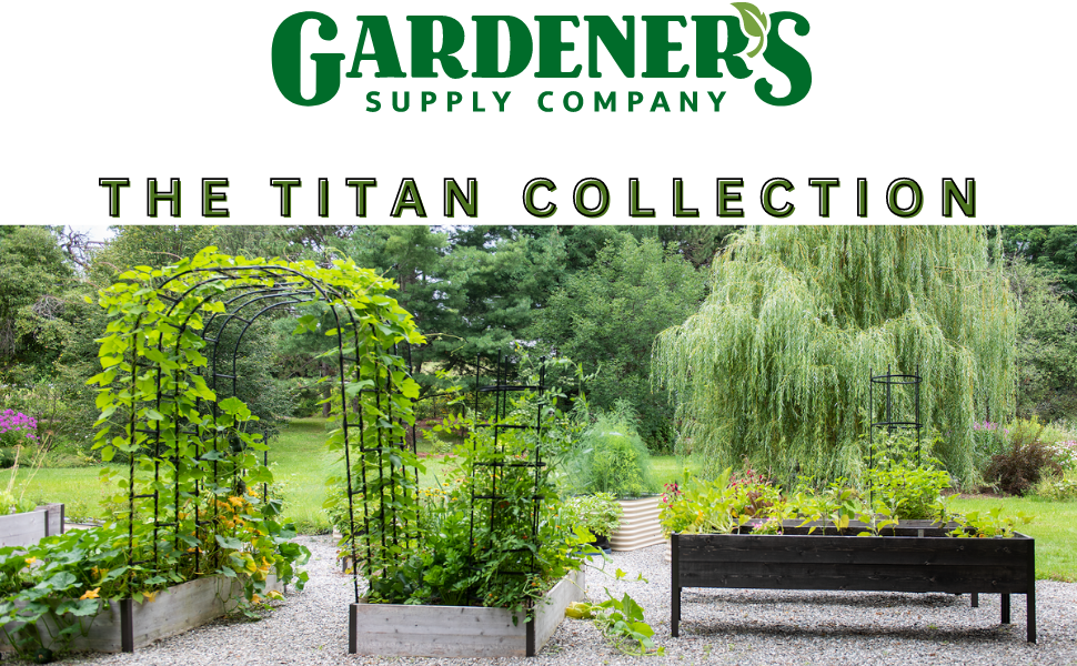 titan collection