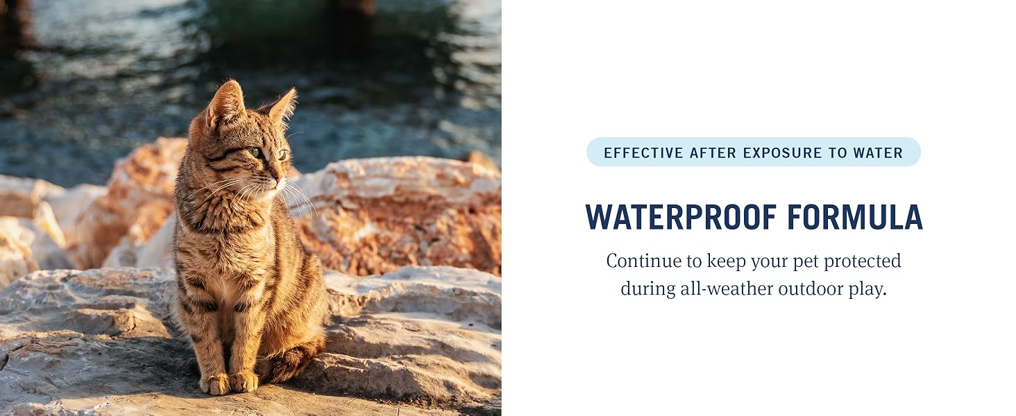 waterproof flea protection