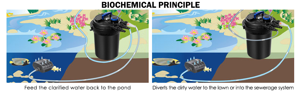bio filter