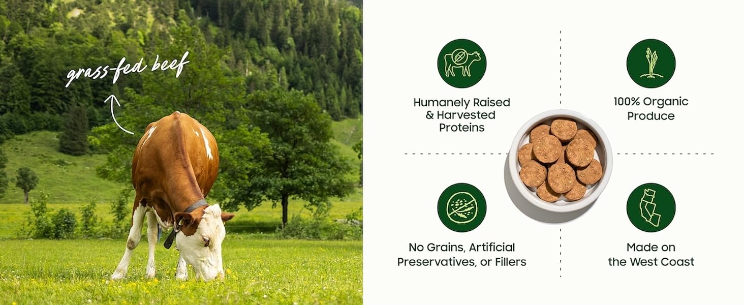 no fillers, preservatives or grains