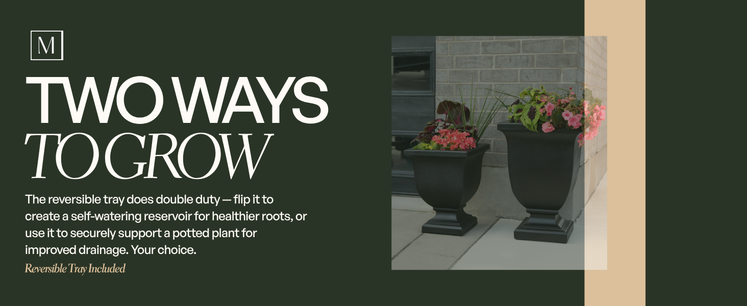 Two Ways to Grow