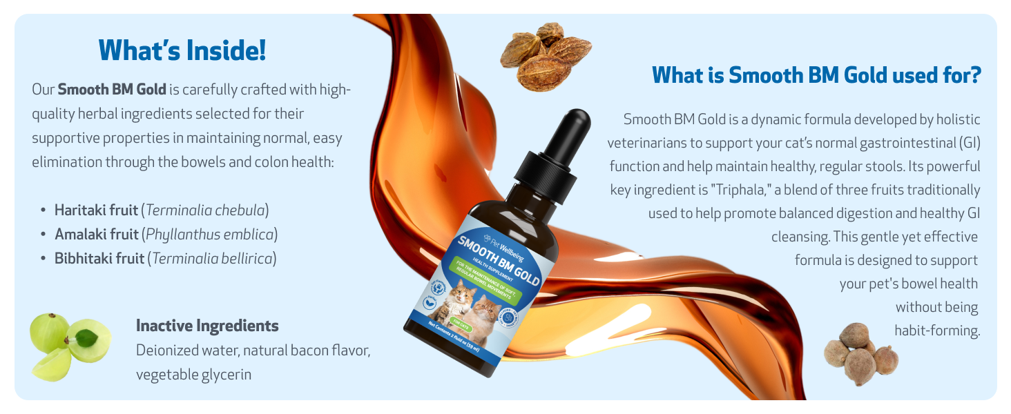 Triphala blend haritaki healthy digestion amalaki constipation bibhitaki healthy stools