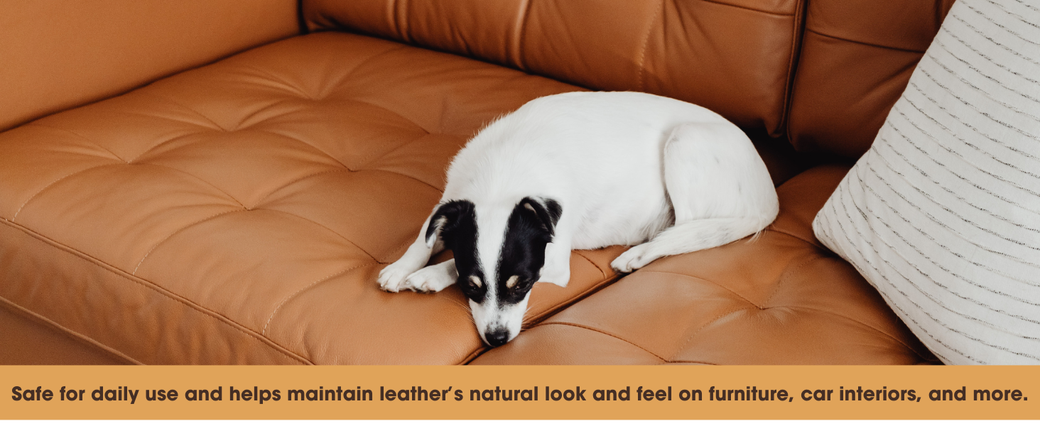 removes stains, removes dirt, deep cleaning, non-greasy formula, quick-drying, restores shine