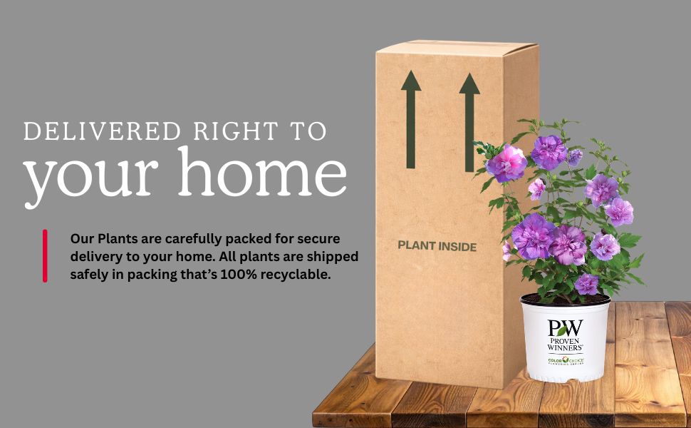 Delivered to your home