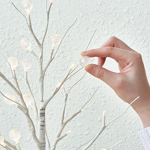 birch tree
