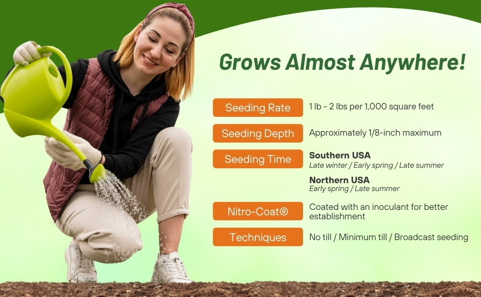 Miniclover Seeding &amp; Planting Rates For Ground Cover