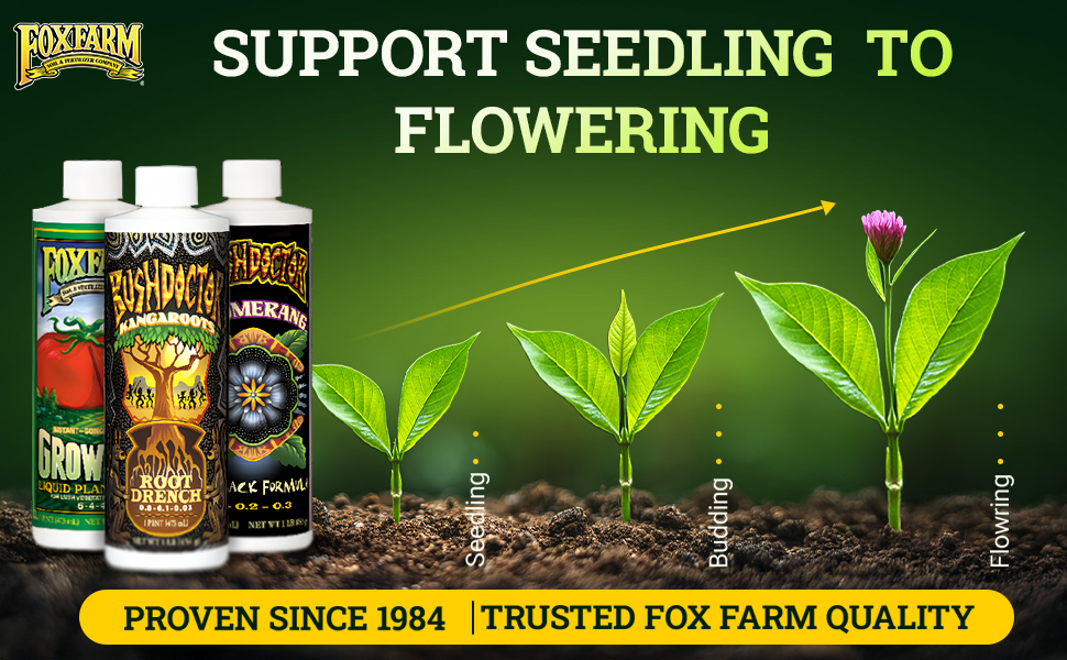 Perfect for Thriving Plants &amp;amp;amp; Vibrant Blooms