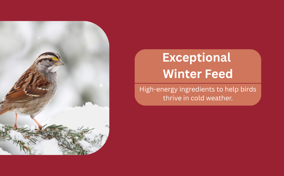 Nature&amp;#39;s Choice Wild Bird Seed 3
