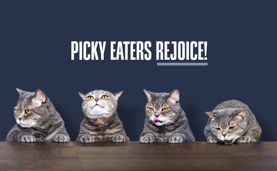 gourmet nutrition mix meow chewy fresh kitchen breast add ons products wellness blend trests yreats