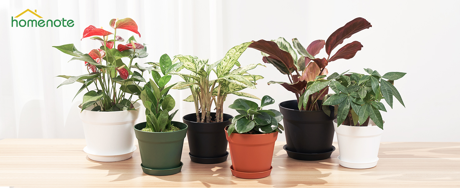 Pots for Plants