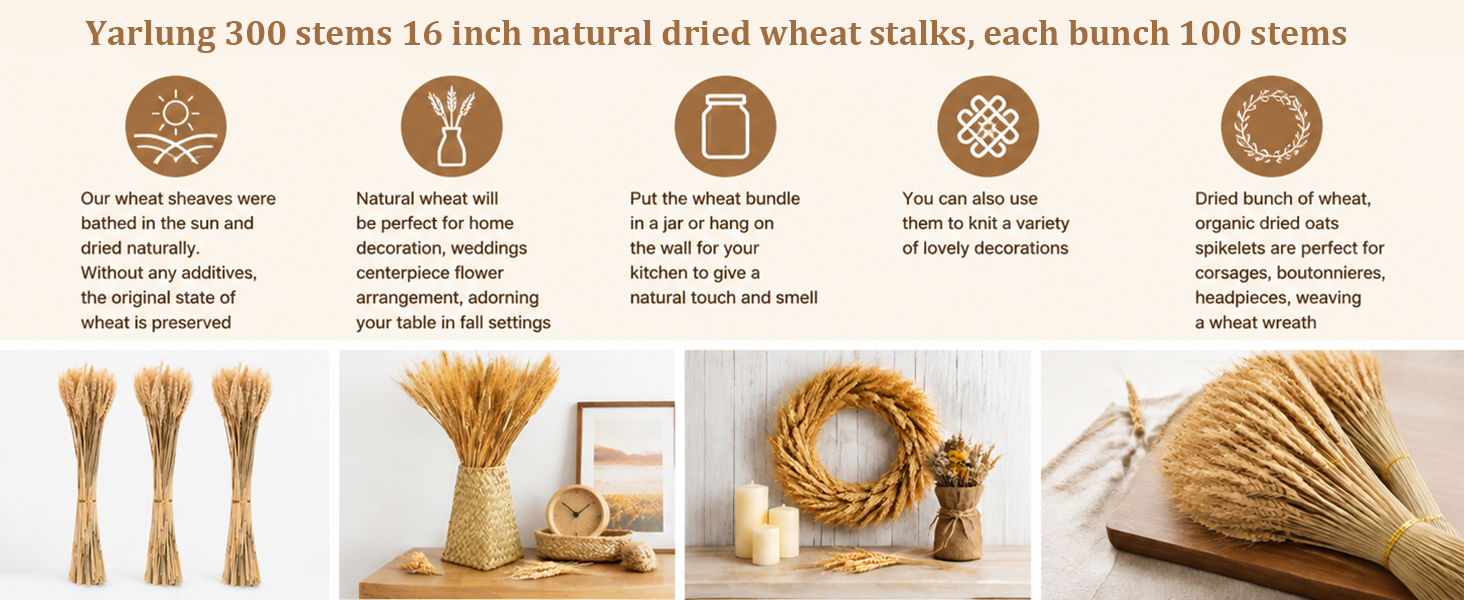 Yarlung 300 Stems Dried Wheat Stalks, 16 Inch Natural Wheat Sheaves Fall Arrangement Home Decor