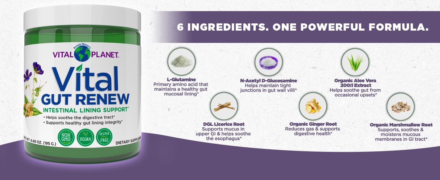 dgl deglycyrrhizinated licorice extract root ginger zingibir officinale marshmallow althaea