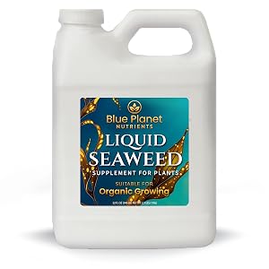Image of Liquid Seaweed jug