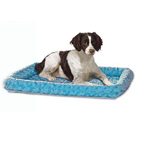 Dog on Blu