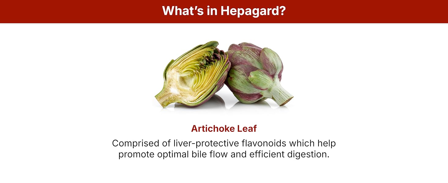 Artichoke Leaf