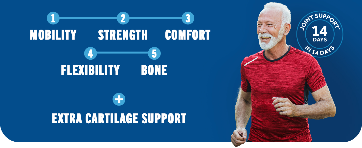 best rated joint supplement for mobility, strength, comfort, flexibility, Bone